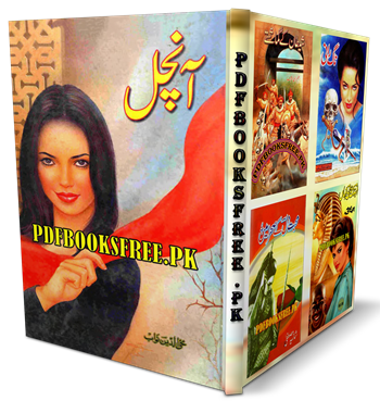 Aanchal novel by Mohiuddin Nawab