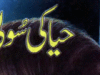 حیا کی سولی پر ناول از محی الدین نواب