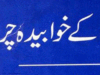 ایوانوں کے خوابیدہ چراغ ناول از نورالحسنین