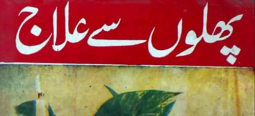پھلوں‌سے علاج از حکیم محمد عبداللہ