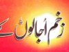 زخم اجالوں کے ( مجموعہ ہائیکو) از شعیب جاذب