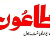 طاعون ناول از البرٹ کامیو