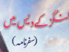 وائی کنگز کے دیس میں از منزہ نصیر